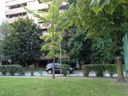 TREVISO periferia nord