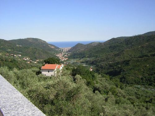 MAGLIOLO
