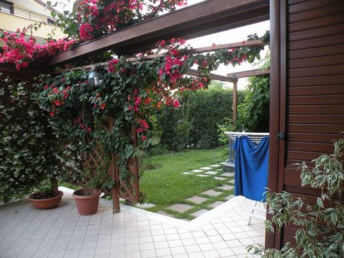 gazebo