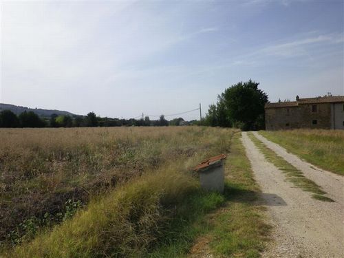 CANNARA