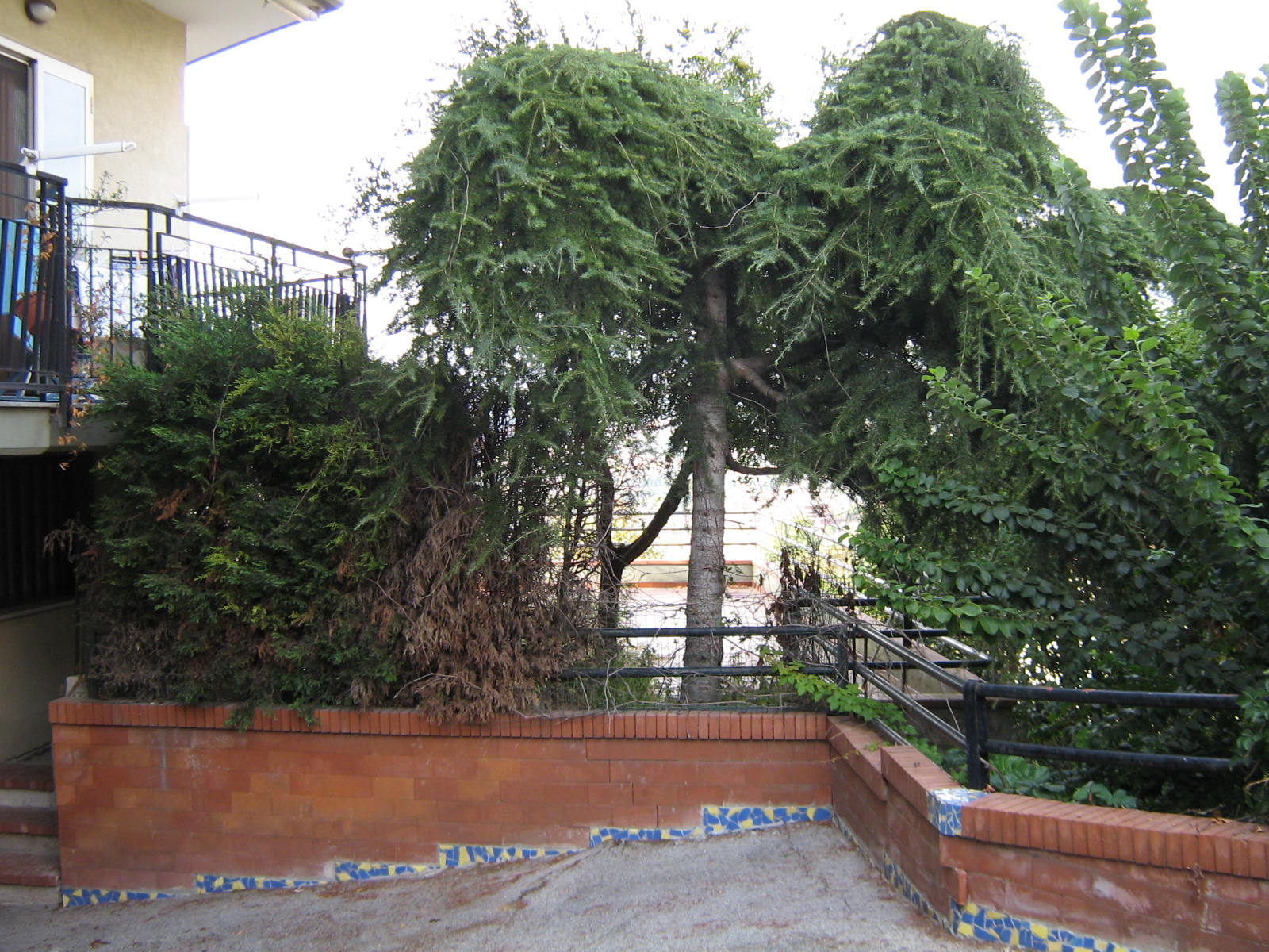 SALERNO
