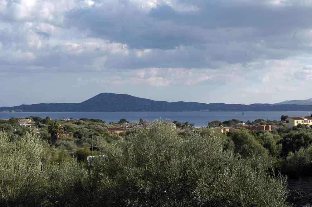 Vista