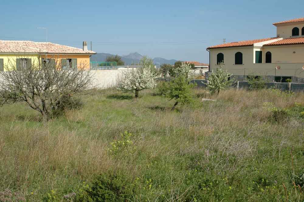 Terreno