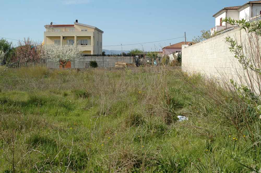 Terreno