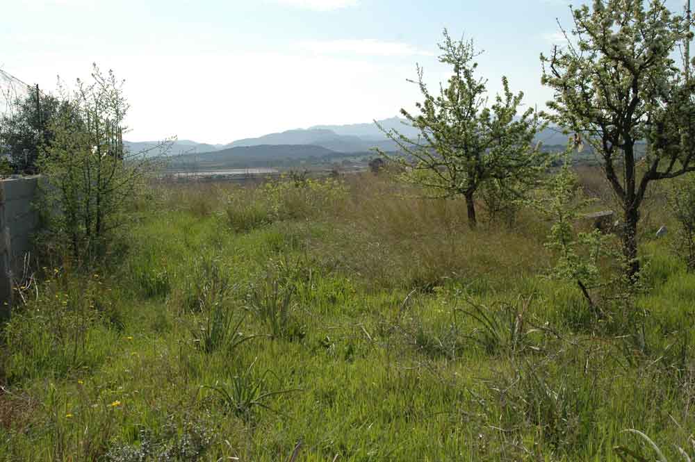 Terreno