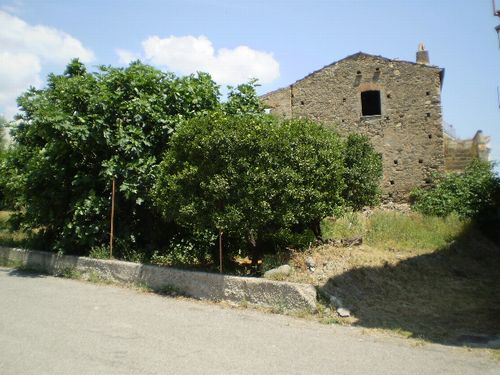 TREBISACCE