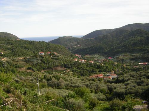 TOVO SAN GIACOMO