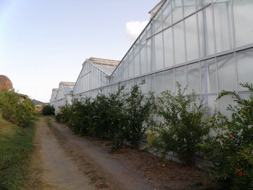 CAPOTERRA periferia