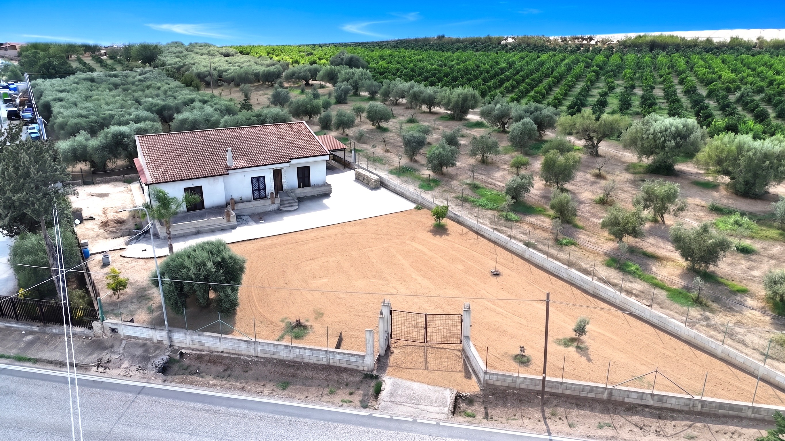 FALCIANO DEL MASSICO