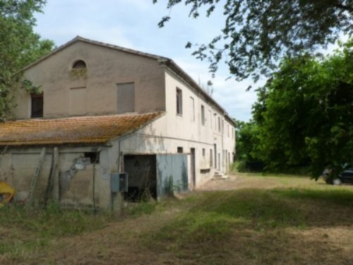 MONSANO