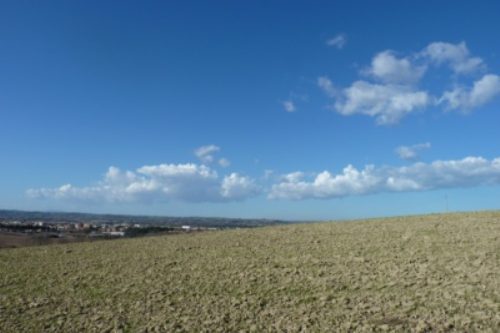 Si pu? acquistare ulteriore terreno agricolo