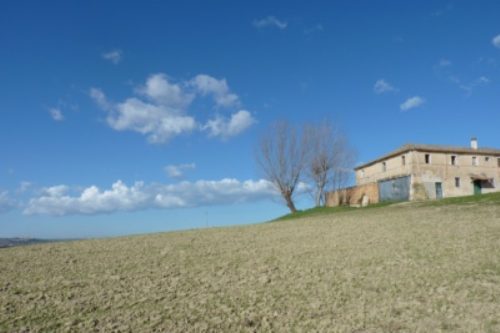 Presente l'allaccio all'elettricit? ed all'acquedotto