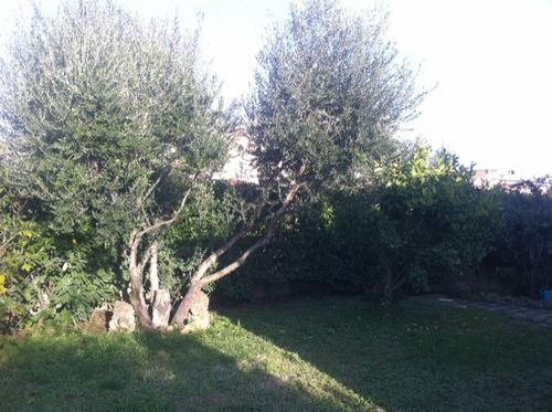 CERVETERI