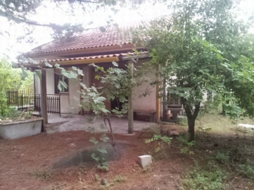 PEDARA periferia
