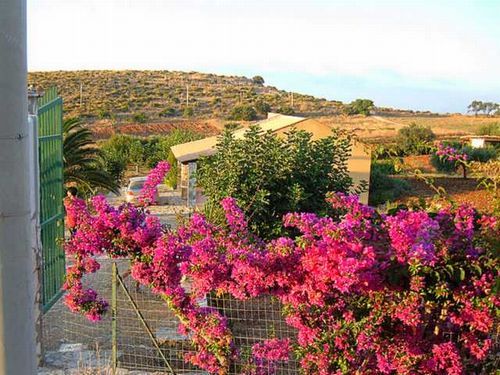 CASTELLAMMARE DEL GOLFO periferia