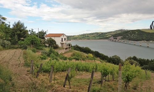 CAMPOBASSO