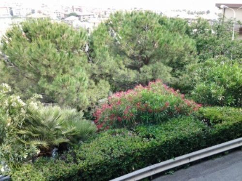 RIVA LIGURE