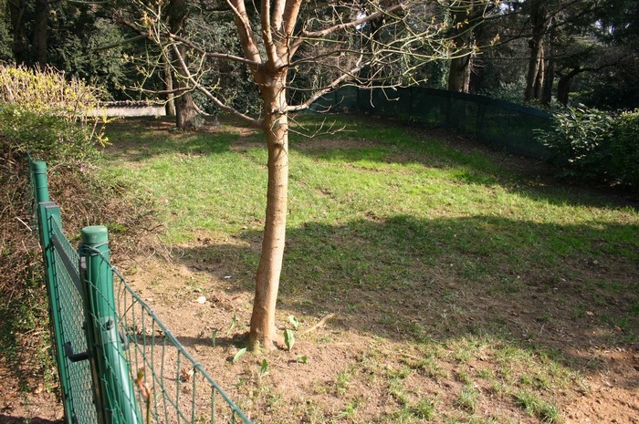 giardino